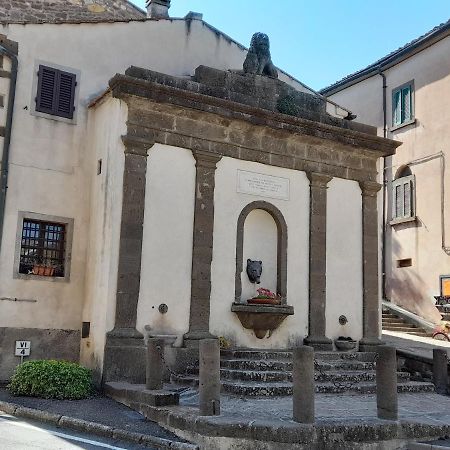 Agora Lejlighed Montecatini Val di Cecina Eksteriør billede