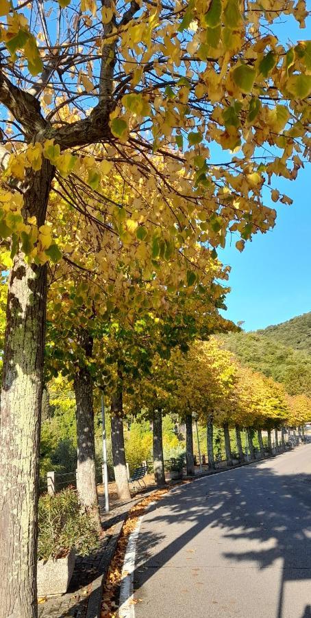 Agora Lejlighed Montecatini Val di Cecina Eksteriør billede