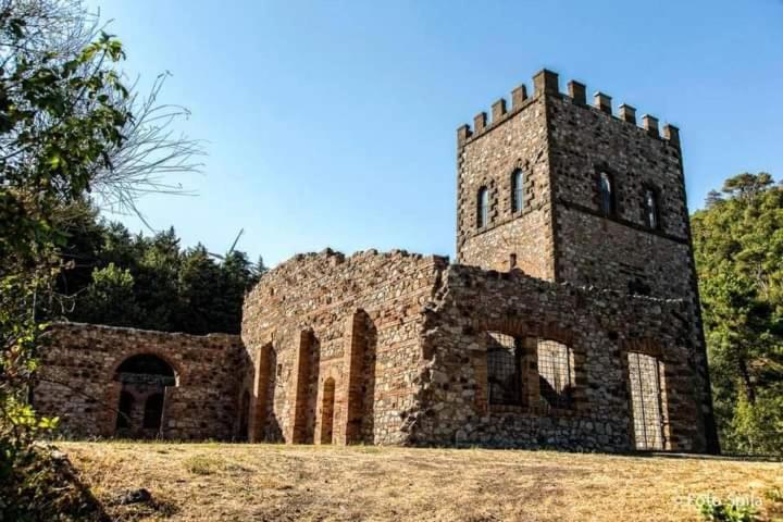 Agora Lejlighed Montecatini Val di Cecina Eksteriør billede